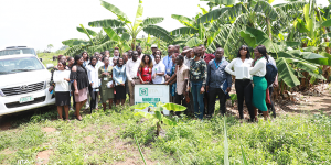 IITA research fellows at NIHORT banana germplasm collection-Brand Spur Nigeria