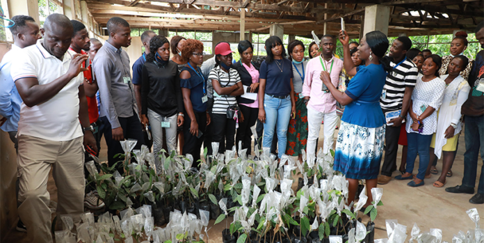 IITA Research Fellows To Partner National Research Institutes For Development-Brand Spur Nigeria