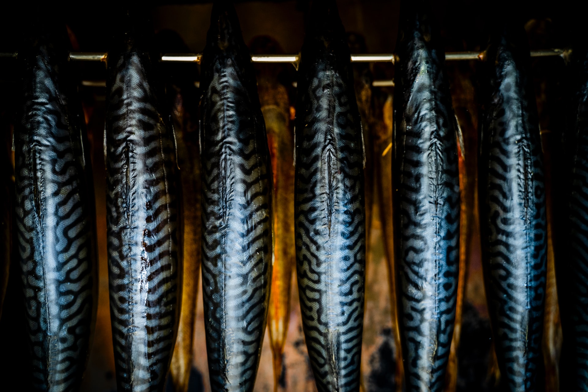 Nigeria Imports 2.2 Million Tons of Fish Annually brandspurng