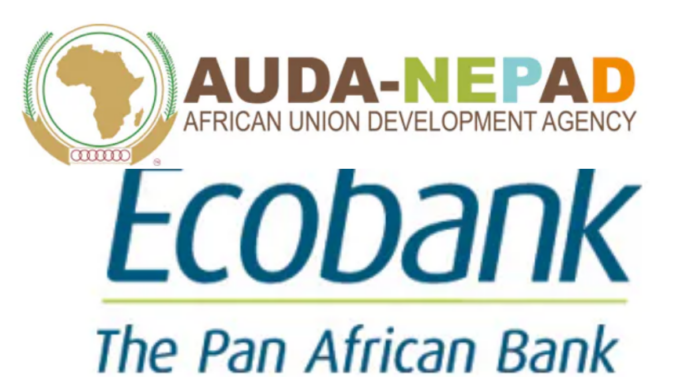 Over 200 Graduates Emerge From The Ecobank Group And AUDA-NEPAD MSME Training-Brand Spur Nigeria
