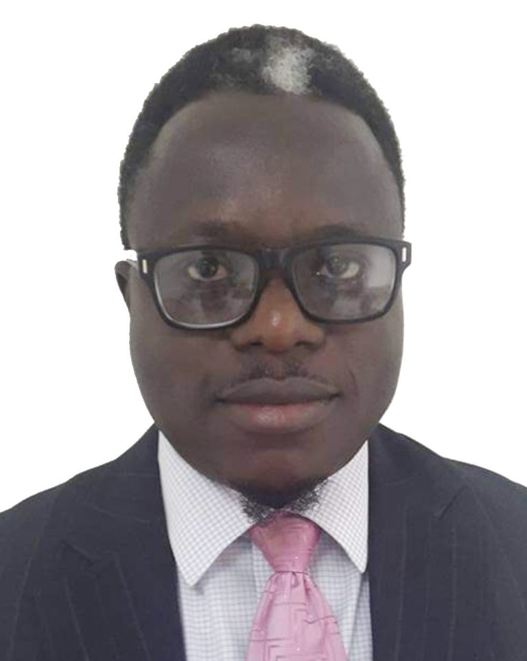 Ingenico Appoints Ugo Obasi As New Area Business Head For West Africa