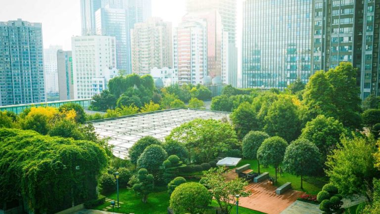 BAT Unveils Sustainable Investment In Environment