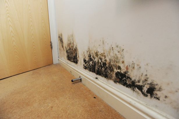 What Causes Dampness In A House?