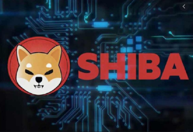 Dog Coin Shiba Inu Looks to Resume Its Uptrend