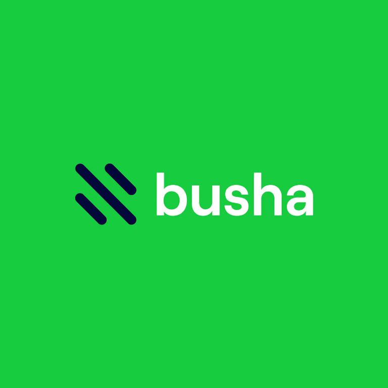 Busha To Allow Customers Earn Up To 10% Annual Interest On Dollar Stablecoins