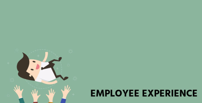 Ways To Improve The Employee Experience