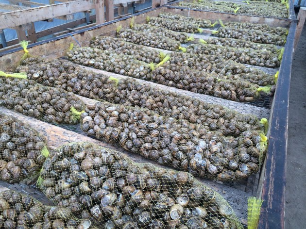 Snail Farmers Call For Increased Youth Participation