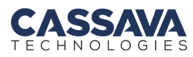 Cassava Technologies Appoints Tesh Durvasula As CEO For Africa Data Centres