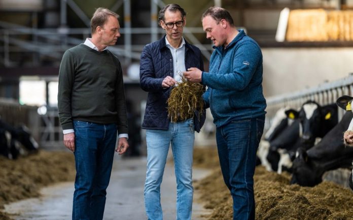 FrieslandCampina And DSM Pilot Feed Additive Project