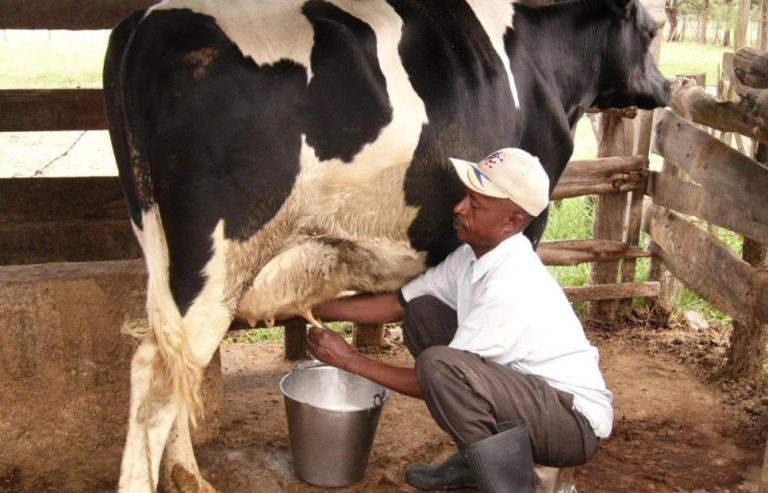 Olan Foods Increases Domestic Milk Production