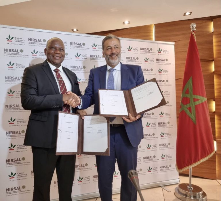 NIRSAL, Credit Agricole renew their collaboration agreement
