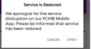 FCMB Server Back- Brand Spur Nigeria