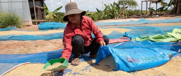 World Food Commodity Prices Dip For Fifth Month
