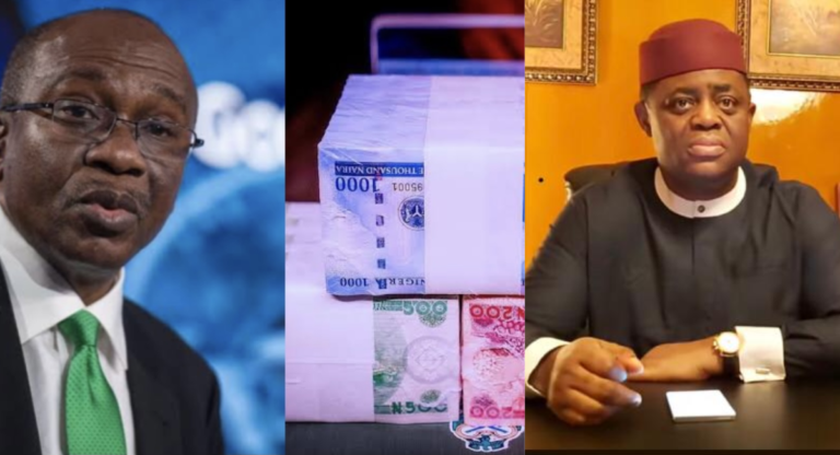 Redesigned Naira Notes: Fani-Kayode Knocks Emefiele Over New Naira Notes