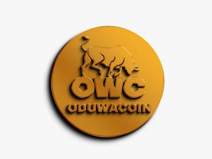 Online Learning Institute Now Accepting Oduwacoin As Payment Method