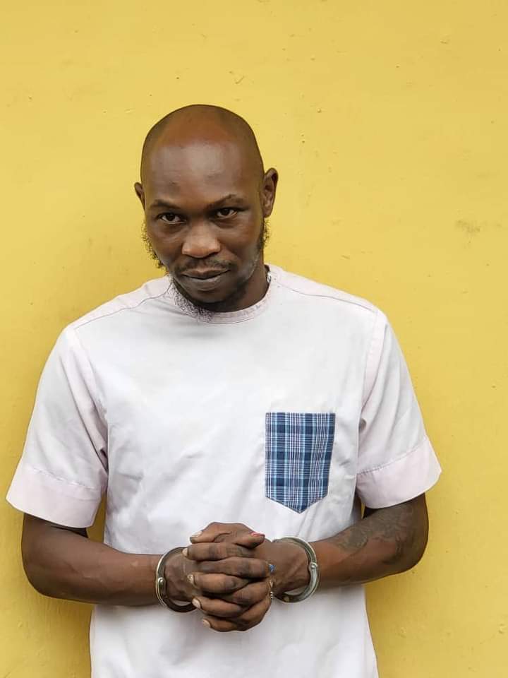 Seun Kuti Remanded For Alleged Assault