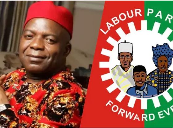 Court Nullifies Alex Otti’s Candidature, Others In Abia, Kano