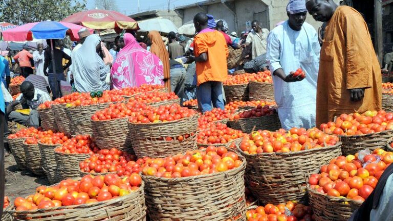 Soaring Tomato And Pepper Prices Push Basic Nigerian Meals Beyond Reach Of Many Families