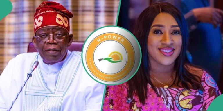 FG Rebrands Npower To Renewed Hope Skills Acquisition Programme