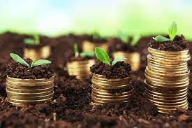 Invest In Your Future Today