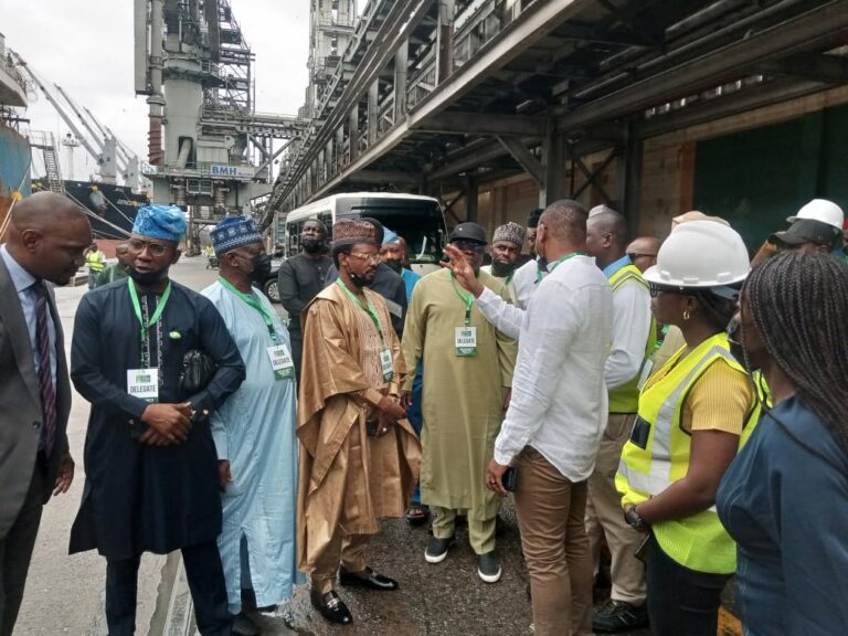 NSIA Outlines Aggressive Healthcare Expansion Plans