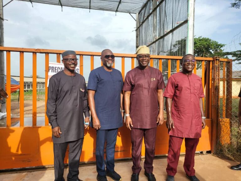 Amo Farm To Boost Agricultural Development In Oyo State