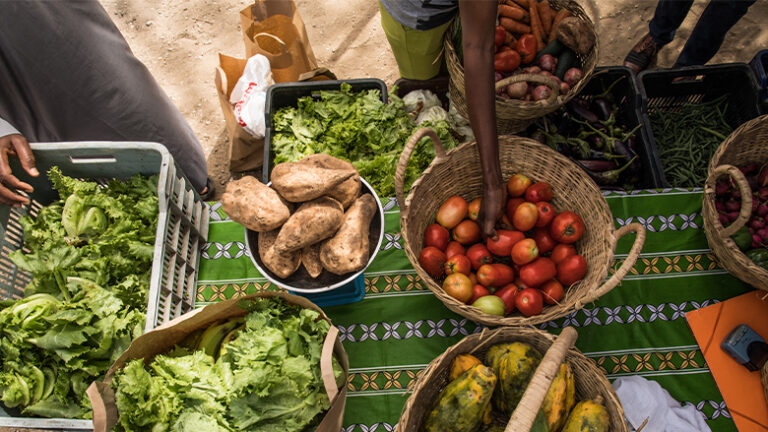 Djibouti Strengthens Agri-Food Sector With World Bank Support