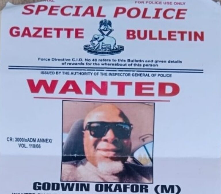 Wanted Person: Mr. Godwin Onyebuchi Okafor – NPF
