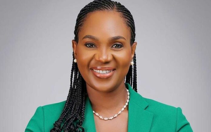 NIBSS' AfriGo Appoints Former Mastercard's VP As New MD, Ugo Obasi As COO