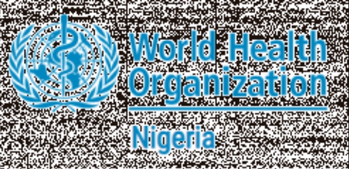 Lagos State And World Health Organization (WHO) Collaborate For A Healthier Population