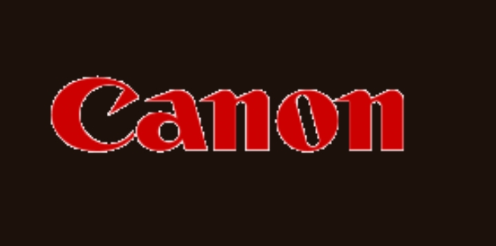 Canon And Visa Pour l’Image Celebrate 35th Anniversary Of Long-standing Partnership