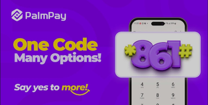 Use Palmpay USSD Code Without Data Today For All Transactions