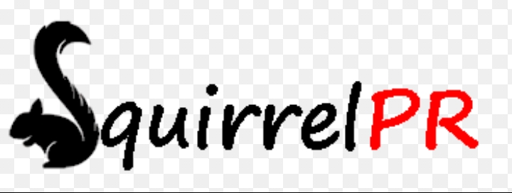 SquirrelPR To Hold 2024 StartupSouth9 Conference In Port Harcourt