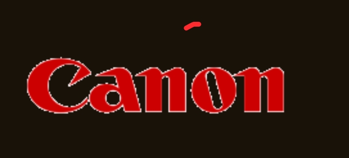 Nigerian Youth Win The Canon Young Champion Of The Year Award At Global Good Awards 2024