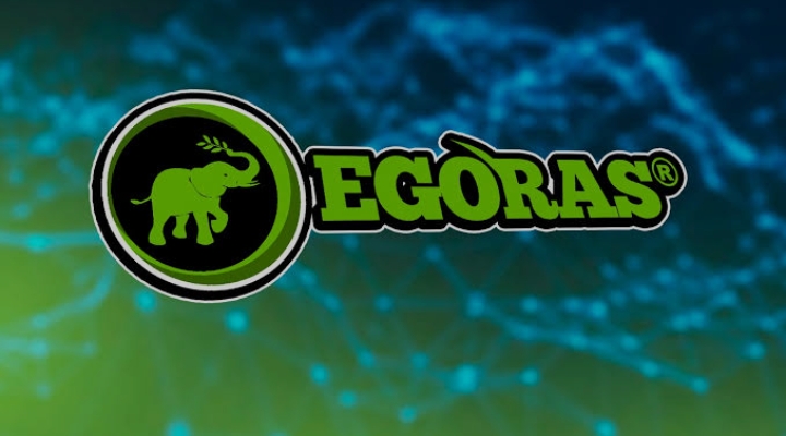 Egoras, Reveals Plan To Champion Its Brand Of Locally Made Rice