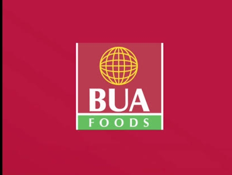BUA Witnesses 104% Plunge In 9 Months Revenue To N1.07 Trillion