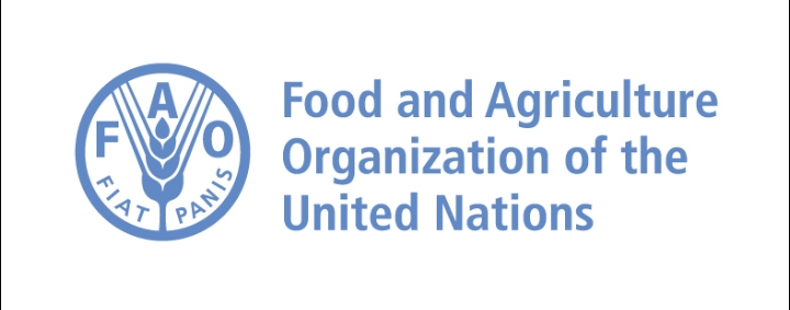 FAO Reveals Global Food Prices Hit Their Highest In 18 Months