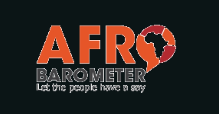 Afrobarometer Connects Early-career Researchers With Established Scholars To Build Analytical Capacity In Africa