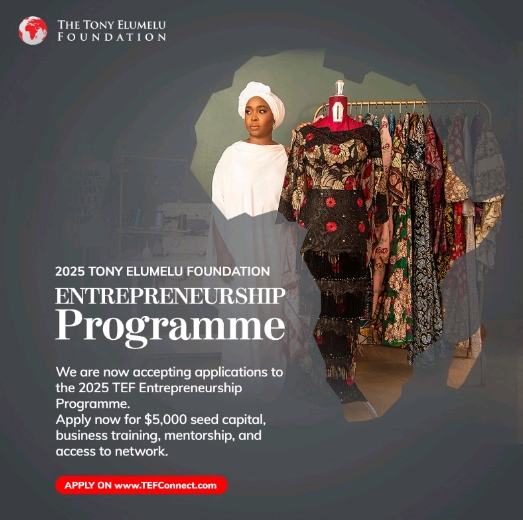 The Tony Elumelu Foundation Opens Applications For 2025 Entrepreneurship Programmes