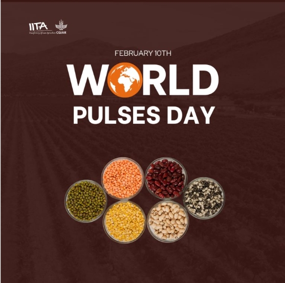 Harnessing Cowpea And Bambara Groundnut For A Resilient Future