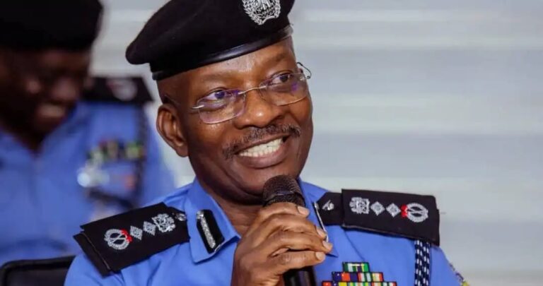Gender-based Violence: Odumakin, Baruwa, Others Applaud IGP For Bringing GBV Desks Closer To Victims