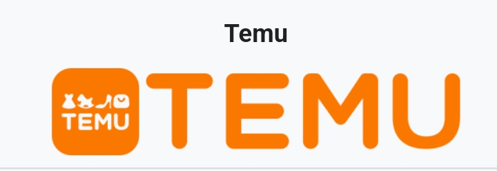 Google Spotlights Temu For Adopting Android’s New Screen Feature