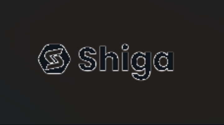 CORRECTION: Blockchain Fintech Shiga Digital Empowers African Businesses With Digital Finance Tools