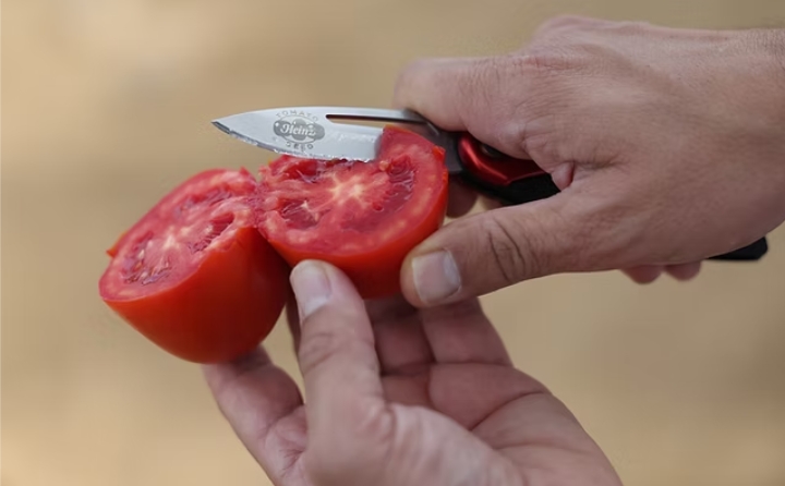 Kraft Heinz Expands European Tomato Supply With Energy-efficient Plant