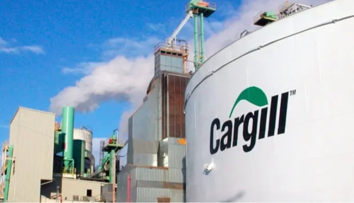 Cargill Halts Cocoa Grinding In Ivory Coast Amid Worsening Bean Quality Crisis 