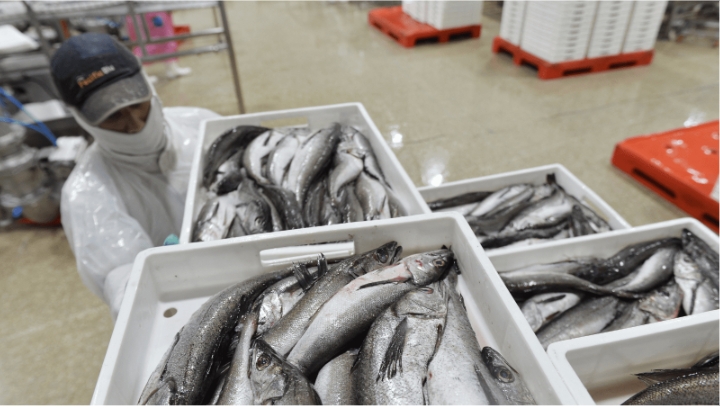 Burkina Faso To Exempt VAT On Fish Feed To Support Fisheries