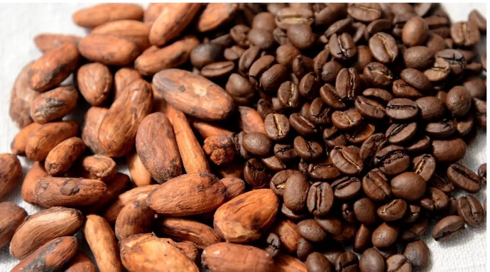 Ghana Reduces Cocoa Farmgate Price, Launches Domestic Cocoa Bonds To Stabilise Sector
