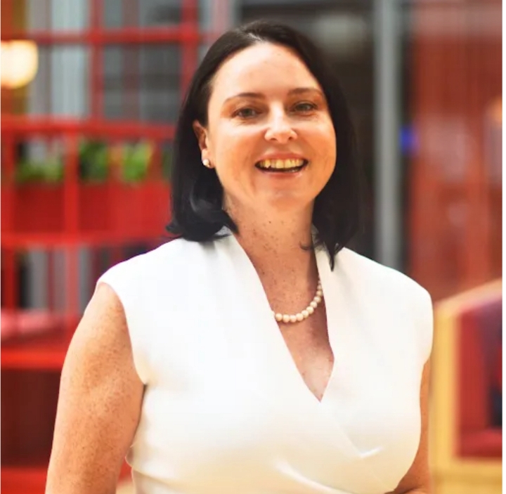 The Battery Belt: How Chinese Investment Could Supercharge SA’s Green Industrialisation