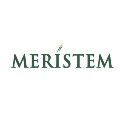 Meristem Family Office Appoints Kemi Ojenike As Managing Director, Heralding Integrated Wealth Leadership