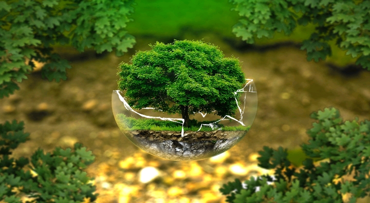 Promoting Transparency Through Climate Risk Disclosure